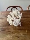 Vintage Natural Coral Rock Specimen With Lucite Display Stand