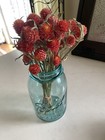 Burnt Orange Dried Globe Amaranth Bunch Bouquet Bundle Dried Flowers  Auc  3