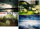 Kodak Gold 200 Color Negative Film  iso 200  35mm 36-exposures   exp Aug 2025 