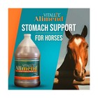 Alimend Stomach Gastric Support For Horse  Equine Ulcer Support Solution - 64   