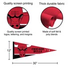 Chicago Bulls Nba Pennant