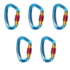 Set Of Five 25kn Aluminum Carabiner Screw Locking Hook For Climbing Caving