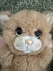 Vtg Applause Little Beggar Kitten Plush Kitty Cat Stuffed Animal Stuffie Plushie