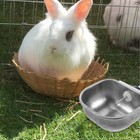 3pcs Small Automatic Rabbit Feeder Animals Pets Home Rabbits