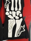 Dale Earnhardt Jr Autographed Alpine Stars Race Gloves