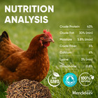 20 Lb Dried Black Soldier Fly Larvae Bsf For Chickens With More Calcium Non Gmo