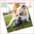Kong Extreme Dog Toy - Fetch   Chew Toy - Treat-filling Capabilities   Erratic B