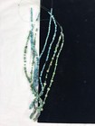 Ancient Indus Valley Roman Glass   Faience Bead Necklace C2000 Years Old