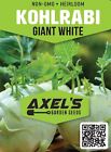 Giant White Kohlrabi Seeds   Heirloom   Non-gmo   Fresh Garden Seeds