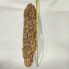 Ohko Stone Dragon Rock Xxl For Aquarium Decoration And Hardscape 20  Plus Size