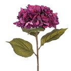 32 5 X 9 Burgundy Hydrangea Stem 3 bag
