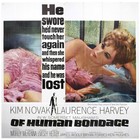 Kim Novak Huge 81x81 Of Human Bondage  Laurence Harvey Genuine 1964 Movie Poster