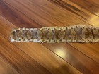 Real Snakeskin Shed Skin Long Natural Reptile Taxidermy Craft Display Specimen