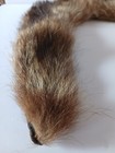 Vintage Fur Collar C r  Cook Peoria Illinois