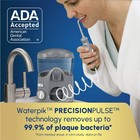 Waterpik Ultra Water Flosser 10 Settings 6 Tips Ada Accepted Oral Irrigator Gray