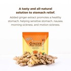 Turmeric Ginger Tea Instant Ginger Honey Crystals  25 Sachets -prince Of Peace