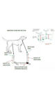 Fully Adjustable Grooming   Breeding Stand W Collars  