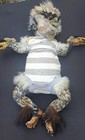 Ooak Alternative Fantasy Griffon Hybrid Reborn Art Baby Doll 19 