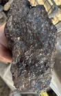 Turtilla Agate Rough 6 Pounds 8 Ounces