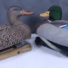 Mallard Duck Decoys Northern Flight Drake   2015 Avian-x Topflight Mallard Hen