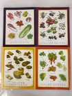 Lot Of 6 Cook s Illustrated Magazines 2013-2025