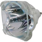 Jaspertronics    Oem Bulb Replaces 69788 Projector   Tv Bulb  lamp Only  With