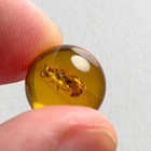 Wasp Sphere 11mm Bead Burmese   Burmite Amber Fossil Bead   100  Genuine