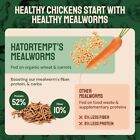 Hatortempt Bulk Dried Mealworms 10 Lbs - Non-gmo Mealworms For  Assorted Sizes 