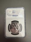 First Palladium Eagle Us Coin 2017 High Relief First Day Of Issue Ms70pl