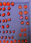 Lot Of 108 Assorted Vintage Ladybug Shank Style Buttons