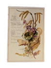 Antique 1881 Victorian New Year Greeting Card Floral Violets Ephemera