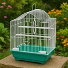 10 X Small Bird Cages Parakeet  Wholesale Packing  Flea Market  Feed Store