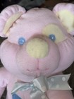Vintage Nwtdandee Pink My First Teddy Bear Plush Stuffed Animal Soft Expressions