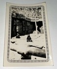Rare Antique Vintage American Zoo Enclosure  Cute Bears  Animal Snapshot Photo 