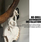 European Mount Skull Hanger  Euro Mount Wall Hanger For Deer  Antelope  Coyot   