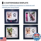 Otterpets Large Dog Urn For Ashes  4 Customizable Displays With Paw Print Ink