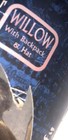 Buffy The Vampire Slayer Willow Limited Edition Posable Action Figure