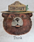 Vintage 1980s Smokey The Bear Leaves Poster 20x30 Educational Print Nature