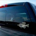 Crappie Sticker Fish Jig Pond Lake Truck Window Boat Tackle Box Fishing Decal