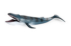 13    33cm Whale Shark Fish Pvc Toy Ocean Sea Animal Figure Kids Gift