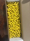 240 Yellow  68 Cal Reusable Rubber Paintballs Reballs Reball Brand Used