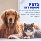 Pet Eye Drops For Dogs cats For Red  Itchy Eyes  Conjunctivitis  And Tear Stains