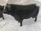 Hartland Angus Bull And Cow