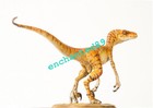 Dino Dream The Tiger Plunderer Velociraptor Dinosaur Statue Model Display