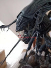 Alien Queen Statue Figure Model Collectible Resin Painted Limited Sideshow