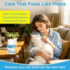 50 Tapeworm Dewormer  praziquantel Tablets  For Cats And Kittens 6 Weeks