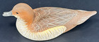 Vintage Pintail Hen 7  Duck Decoy Signed By D  Doty Dated 4 14 89 Resin Body Euc