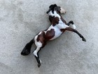 Classic Breyer Horse  712344 Nayati Bay Pinto Rearing Mustang Web Special