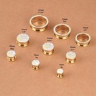 4pcs Stainless Steel Resin Gauges Pu Colorful Chameleon Series Ear Plugs And    