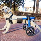 Used Dog Wheelchair For Back Legs  Small  Medium And Large Wheelchairs For Dogs